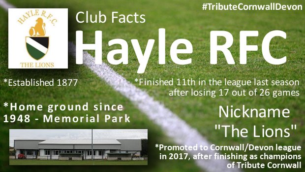 haylerfc